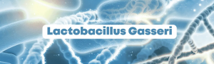 Lactobacillus gasseri