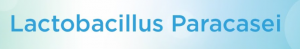 Lactobacillus paracasei - bienfaits