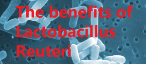 Lactobacillus reuteri - bénéfices