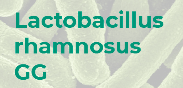 Lactobacillus ramnosus - bienfaits