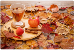 Probiotique - vianigre de cidre