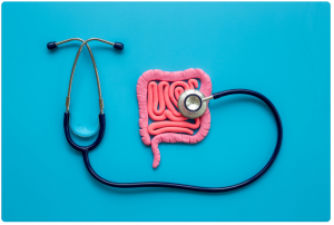 obiotiques - lactobacillus acidophillus - syndrôme du colon irritable SCI