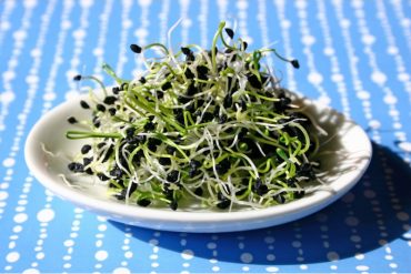 Le microbiote et le cancer : un lien émergent.